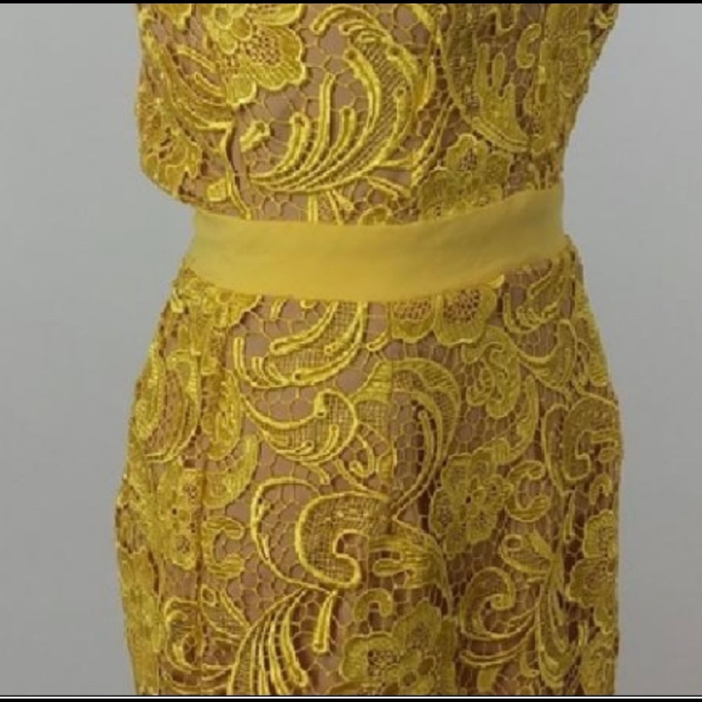 Dress the Population Ava Dress - Picture 5 of 5